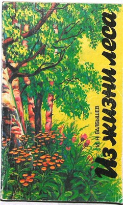 Балбышев И. Н. - Из жизни леса - 1987 - фото 255540