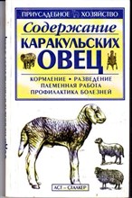 Содержание каракульских овец