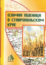Озимая пшеница в Ставропольском крае