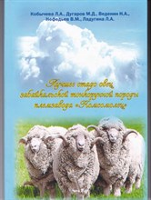 Лучшее стадо овец забайкальской тонкорунной породы племзавода "Комсомолец"