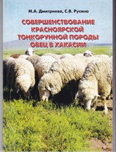 Совершенствование красноярской тонкорунной породы овец в Хакасии