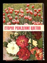 Второе рождение цветов  | Набор открыток.
