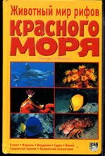 Животный мир рифов Красного моря