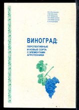 Виноград: перспективные и новые сорта с элементами агротехники