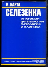 Селезенка. Анатомия. Физиология. Патология и клиника