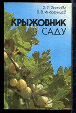 Крыжовник в саду