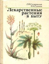Лекарственные растения в быту