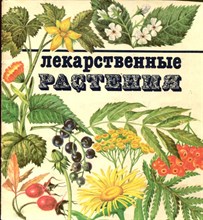 Лекарственные растения Лекарственные растения