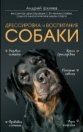 Дрессировка и воспитание собаки Дрессировка и воспитание собаки
