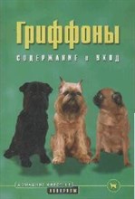 Волнистые попугайчики Уход и содержание Волнистые попугайчики Уход и содержание