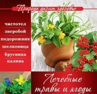 Полякова - Природа дарит здоровье Лечебные травы и ягоды - 2014