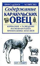Бондаренко С. - Содержание каракульских овец