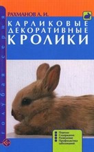 Карликовые декоративные кролики Карликовые декоративные кролики