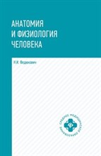 Анатомия и физиология человека ССУЗ