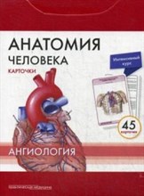 Анатомия человека КАРТОЧКИ Ангиология Русские и латинские названия анатомич. структур