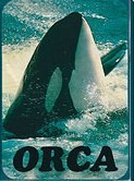 Ассоциативные карты ORCA Скидка не распространяется
