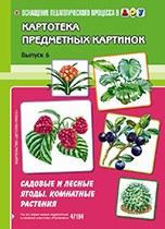Нищева Н. - Картотека предметных картинок Выпуск 6 Садовые и лесные ягоды Комнатные растения - 2012