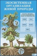 Экосистемная организация живой природы. Наглядное пособие \