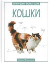 Кошки. Практическая энциклопедия