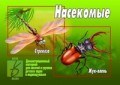 Игра Насекомые