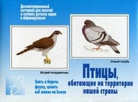 Игра Птицы нашей страны