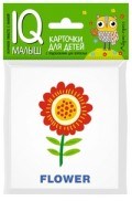 Умный малыш ENGLISH Растения