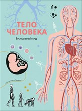 Тело человека Визуальный гид