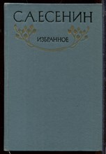 Избранное Избранное