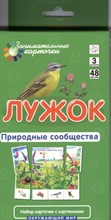 Гончарова Е. - Лужок Природные сообщества Набор карточек - 2012 Гончарова Е. - Лужок Природные сообщества Набор карточек - 2012