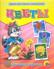 Обучающие карточки Цветы - 2017 Обучающие карточки Цветы - 2017