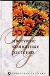Цветущие комнатные растения Цветущие комнатные растения