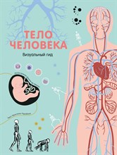 Перабони К. - Тело человека Визуальный гид - 2019 Перабони К. - Тело человека Визуальный гид - 2019