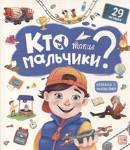 Книжка с окошками. Кто такие мальчики?