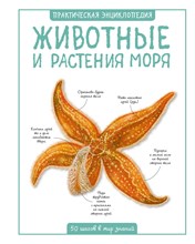 Бедуайер К. - Животные и растения моря Практическая энциклопедия - 2019