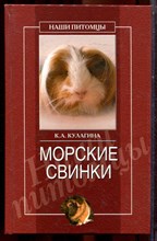 Кулагина К.А. - Морские свинки - 2008