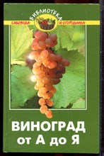 Попов П.С. - Виноград от А до Я - 2010