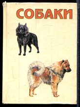 Патаи Л., Синаки Я. - Собаки - 1992