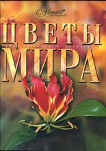 Цветы мира - 2007