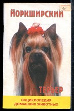 Стрекалова Э.Е. - Йоркширский терьер - 2000