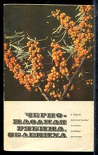 Чаховксий А.А., Шапиро Д.К., Чекалинский И.И. - Черноплодная рябина, облепиха - 1976
