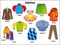 Плакат Одежда - 2016