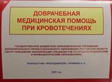 ГАРЛИКОВ Н. Н. - Доврачебная медицинская помощь при кровотечениях - 2026 D014460 - Р
