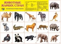 Шорыгина Т. А. - Демонстрационный плакат Животные жарких стран