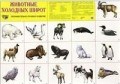 Демонстрационный плакат Животные холодных широт
