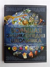 Анна Спектор. - Большая энциклопедия школьника. - 2010