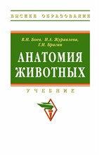 Боев В.И. и др. - Анатомия животных Учебник Бакалавриат - 2020