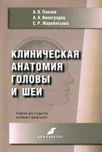 Павлов А.В. - Клиническая анатомия головы и шеи - 2022 D010371 - Р