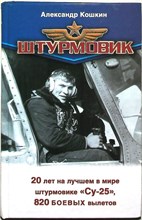 Кошкин А., Зубарев Е. - Штурмовик - 2012