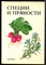 Специи и пряности - фото 207680