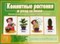 Игра Комнатные растения и уход за ними - фото 209499